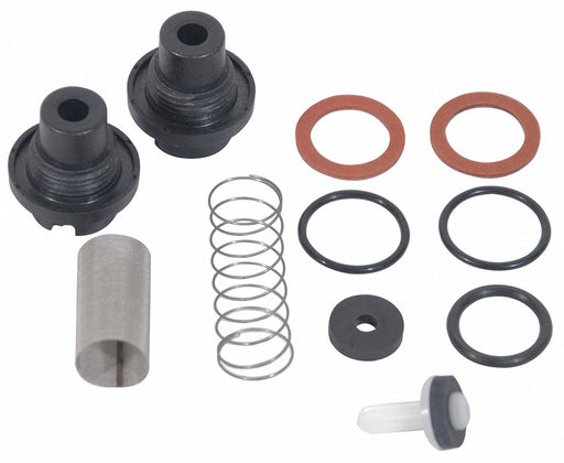 Stop Strainer CheckValveRepairKit SS