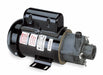 Magnt Drv Pmp 3/4in NPT 1/3hp Glss PPS