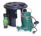 Sink Drain Pump System Integral 1/3 HP