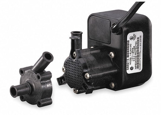 Magnt Drv Pmp 1/2in Hose 1/200hp Glss PP