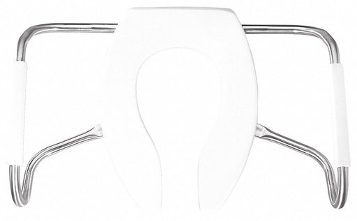 ToiletSeat Wht 14.3125inW 2.625inH
