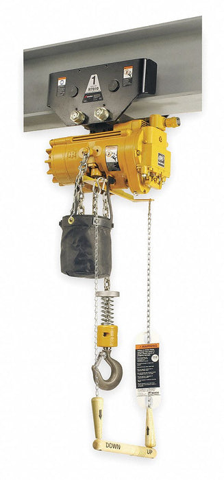 Air Chain Hoist 1100 lb Cap. 10 ft Lft