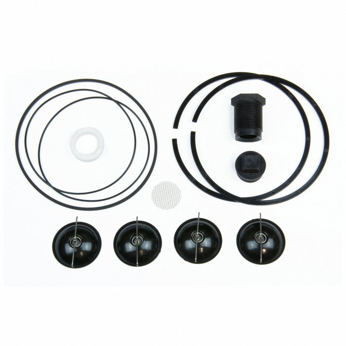 Fuel Transfer Pump Repair Kit