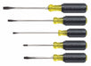 GeneralPurposeScrewdriverSet SAE 5pcs