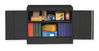 Storage Cabinet 30 x36 x18 Black 2Shlv