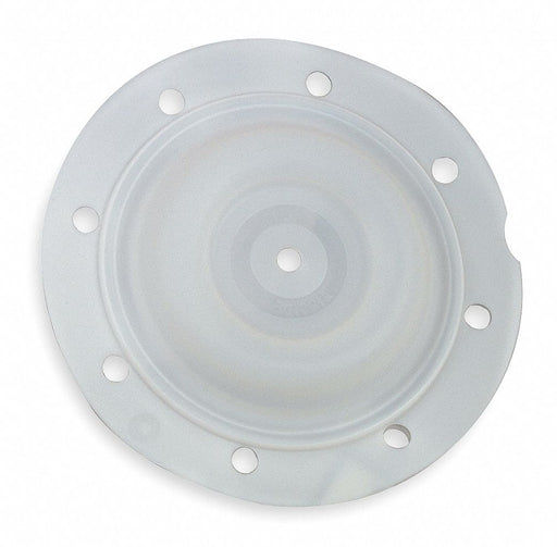 Replacement Diaphragm PTFE For 2CAP5