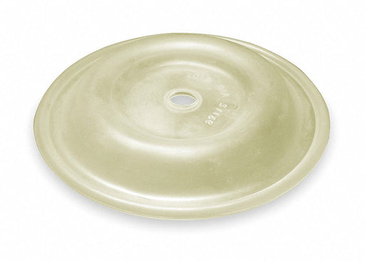 Replacement Diaphragm For 2CAP4 5U668