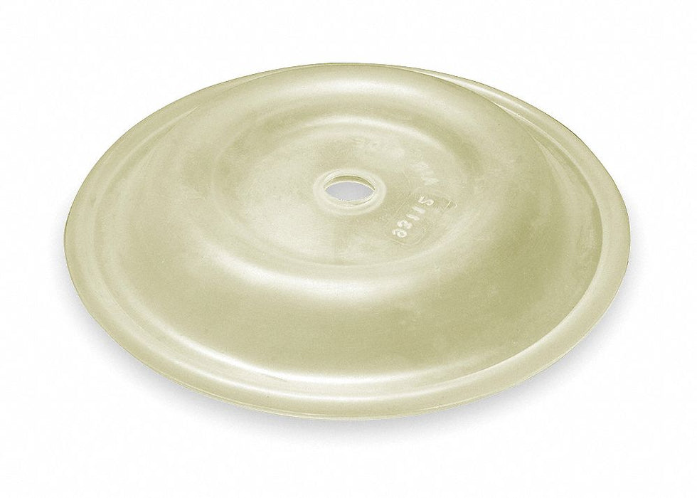 Replacement Diaphragm For 2CAP4 5U668