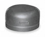 Round Cap 316L SS 2 1/2 in Female NPT
