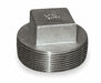 Square Head Plug 316L SS 2 1/2 in