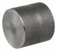 Round Cap 304 SS 3/8 in Pipe Size FNPT