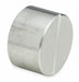 Round Cap 304 SS 3/8 in Class 3000