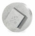 Square Head Plug Malleable Iron 3 in