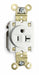 Recept White 20 A 2P3W Back Side 1PK