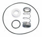 Turbine Pump Shaft Seal Kit Regenerative