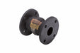 Expansion Joint 1 1/4 in Flanged EPDM