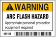 Label 2 in x 3 in Polyester PK100