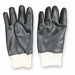 Chemical Resistant Glove 10-1/2In XL PR