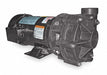 Cntrfug Pmp Noryl 3P 1 1/2in 1hp 55gpm