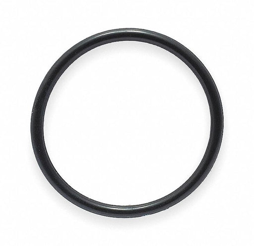Hose Barb O-Ring 6 Dash PK50