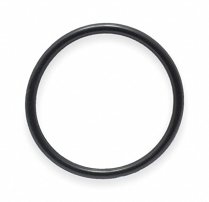 Hose Barb O-Ring 6 Dash PK50