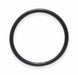 Hose Barb O-Ring 12 Dash PK50