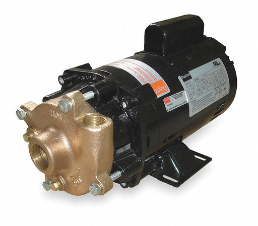 Pump 1/3 HP 1 Ph 120/240VAC