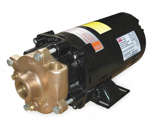 Pump 1-1/2 HP 3 Ph 230/460V AC