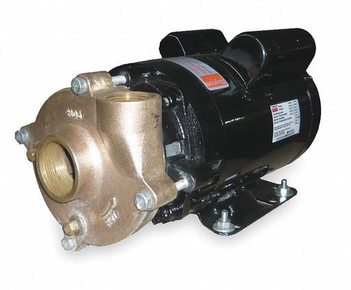 Pump 1-1/2 HP 1 Ph115/230V AC