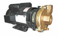 Pump 2 HP 1 Ph 115/230V AC