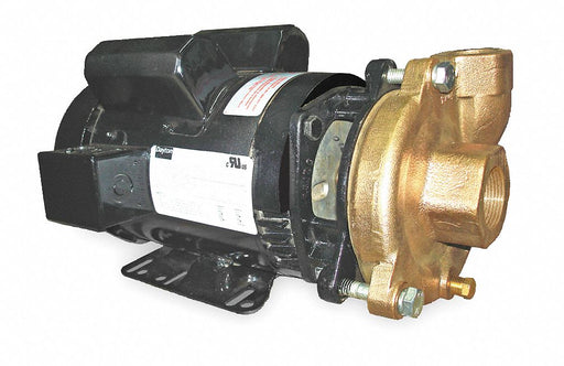 Pump 3 HP 1 Ph 240VAC