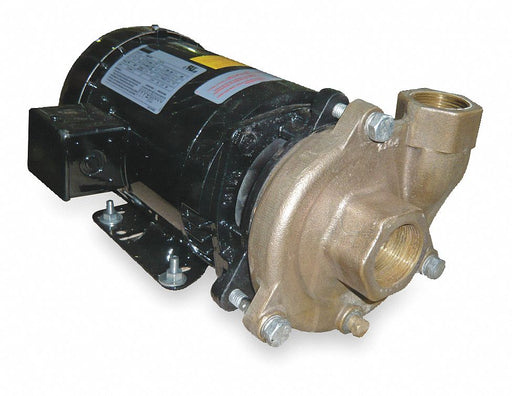 Pump 2 HP 3 Ph 230/460V AC