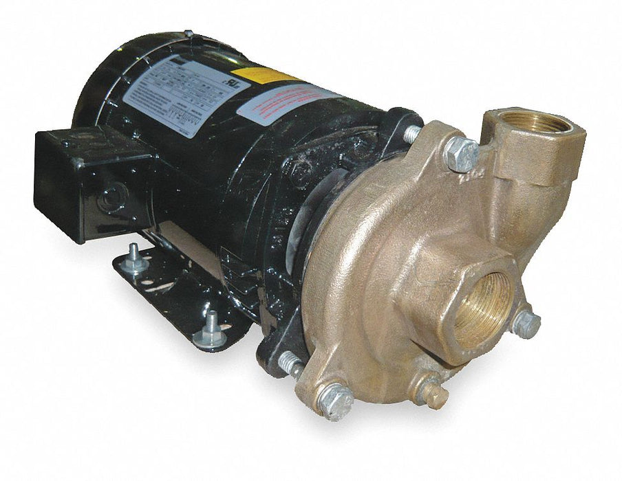 Pump 2 HP 3 Ph 230/460V AC