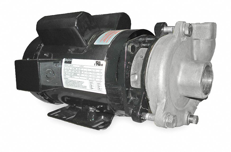 Pump 2 HP 1 Ph 115/230V AC