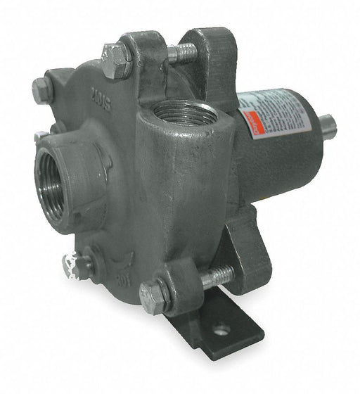 Pedestal Pump Stainless Stel HP Req. 1/3