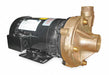 Pump 2 HP 3 Ph 230/460V AC
