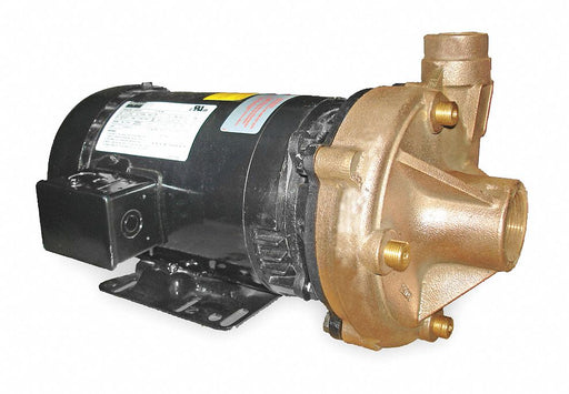 Pump 3 HP 3 Ph 230/460V AC