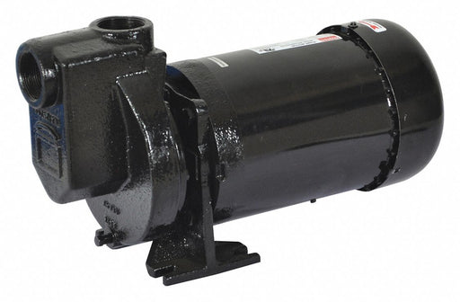 Self Priming Pump 1 HP Cast Iron
