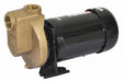 Self Priming Pump 3/4 HP Bronze