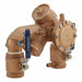 Reduced Pressure Zone Backflow Preventer