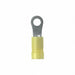 Ring Terminal PK 25