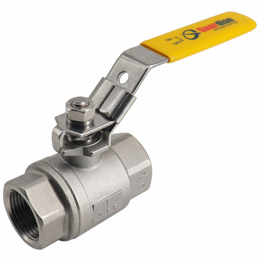 Manual 2-Way Ball Valve NPT 316 SS