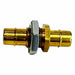 Straight Brass Tube 1/8  Tube 1/8 