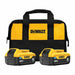 Battery Pack (2) 5.0 Ah Li-Ion PK2