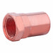 Strt Copper FTG 1/2 in FNPT 1/2 in