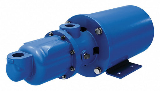 Progssv Cvty Pmp 100 psi 3/4 in 1/2 hp