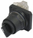 SelectorSwitch Non-Illum 2Pos 30mm Black