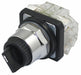 SelectorSwitch Non-Illum 2Pos 30mm Black