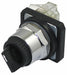 SelectorSwitch Non-Illum 2Pos 30mm Black