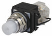 H6738 Pilot Light White 30mm LED